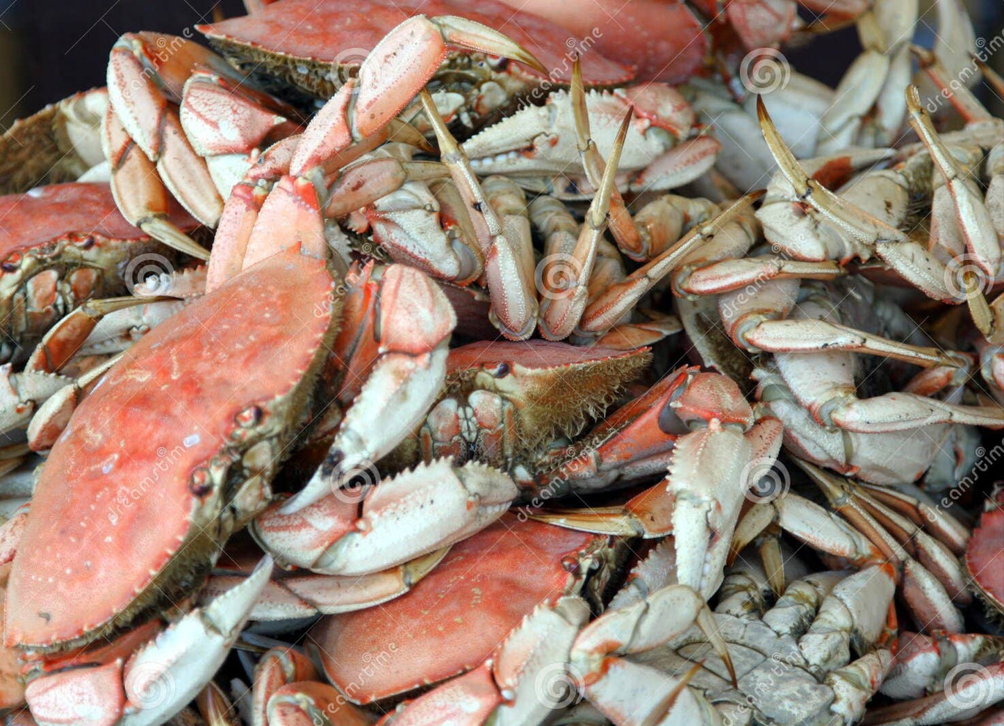 Crab
