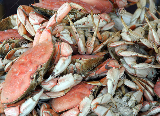 Crab